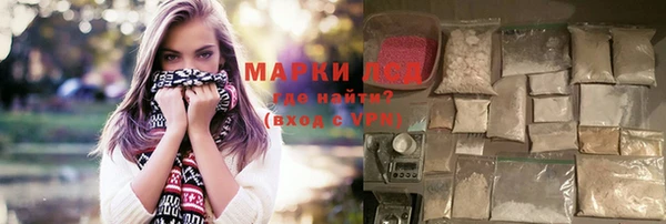 стафф Новодвинск