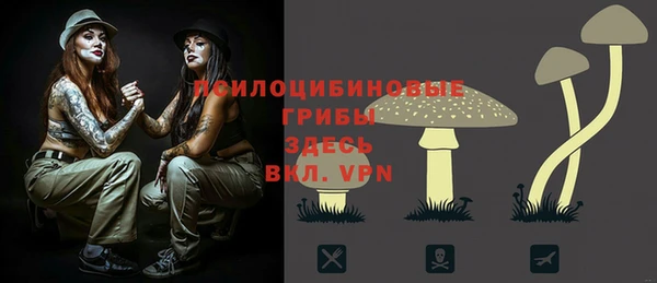 стафф Новодвинск