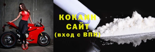 стафф Новодвинск