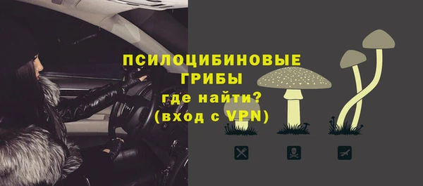стафф Новодвинск