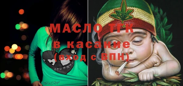 твердый Няндома