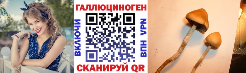 Галлюциногенные грибы ЛСД  Купить где  Мирный 